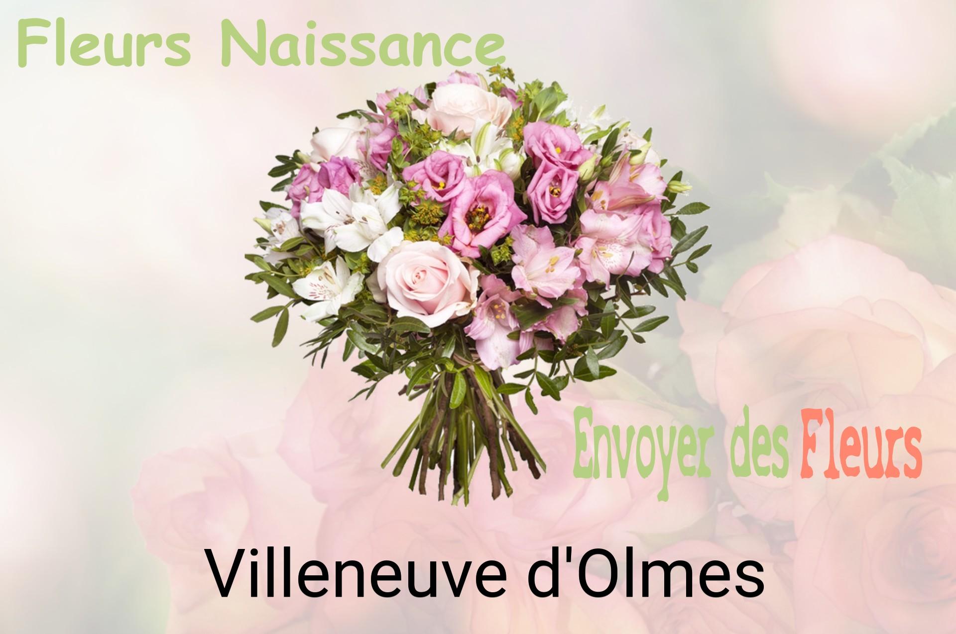Bouquet de fleurs de naissance livré à Villeneuve-d'Olmes