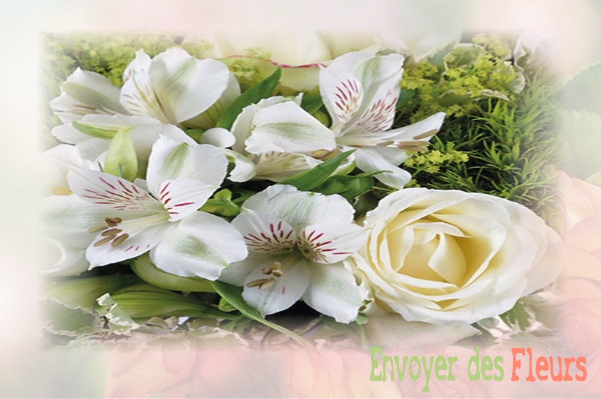 envoyer des fleurs à à VILLENEUVE-D-OLMES