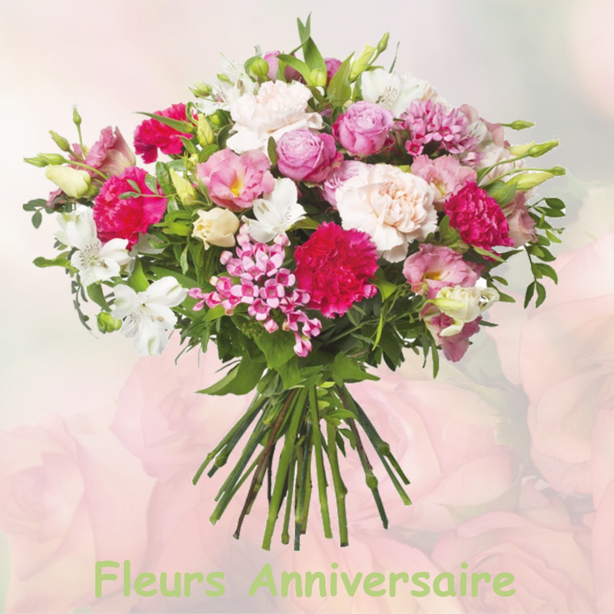 fleurs anniversaire VILLENEUVE-D-OLMES