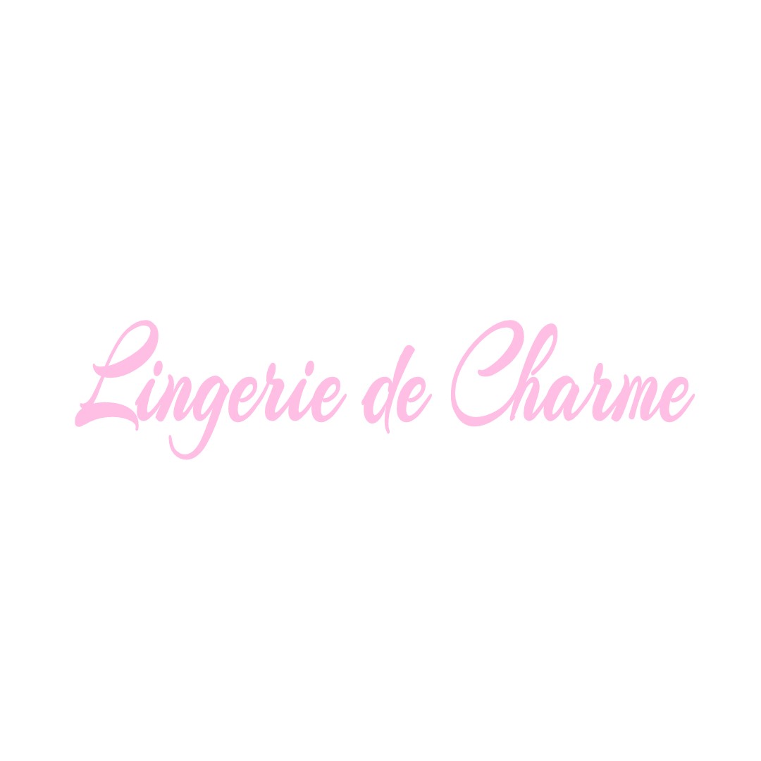LINGERIE DE CHARME VILLENEUVE-D-OLMES
