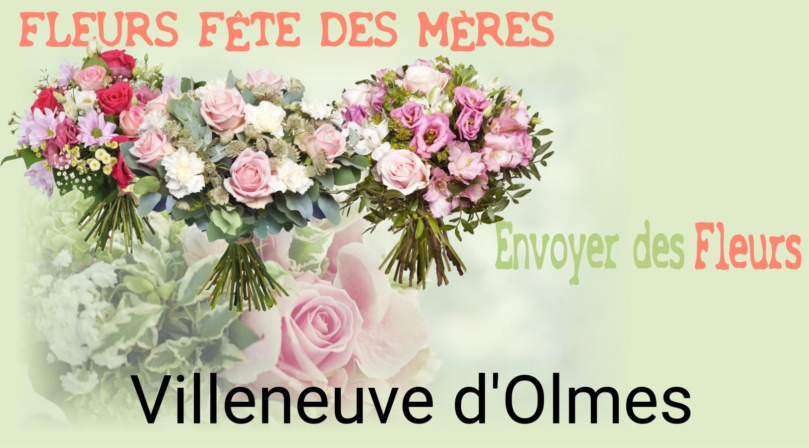 Bouquet de Fête des Mères livré à Villeneuve-d'Olmes
